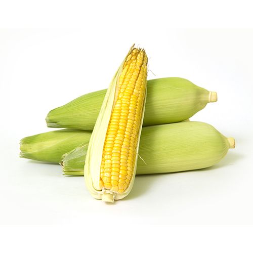 Fresho Sweet Corn (Loose), 2 pcs  