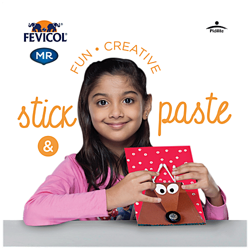Pidilite Fevicol MR White Glue For Art & Craft, 105 g  