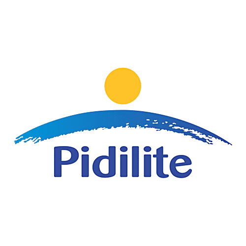 Pidilite Fevicol MR White Glue For Art & Craft, 105 g  