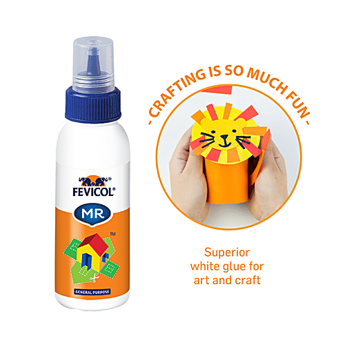 Pidilite Fevicol MR White Glue For Art & Craft, 105 g  