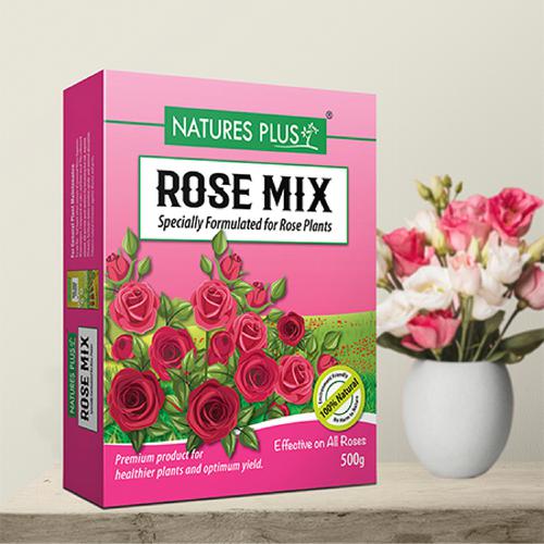 jordnødder lejer enke Buy Natures Plus Rose Mix 500 Gm Online At Best Price of Rs 90 - bigbasket