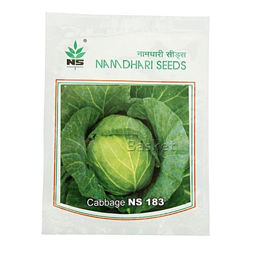 Buy Namdhari Seeds Kitchen Garden Cabbage 50 Pcs Online At Best Price
