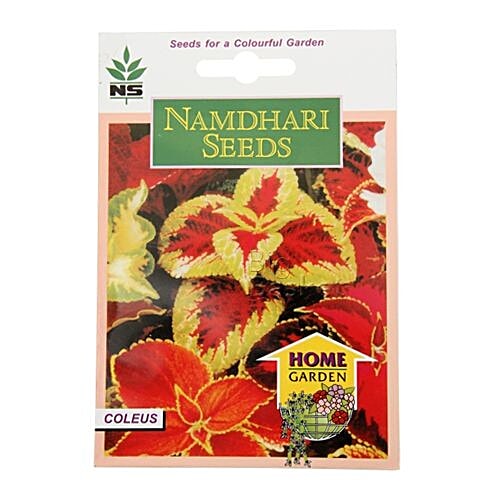 Buy Namdhari Seeds Home Garden Coleus 500 Pcs Online At Best Price of
