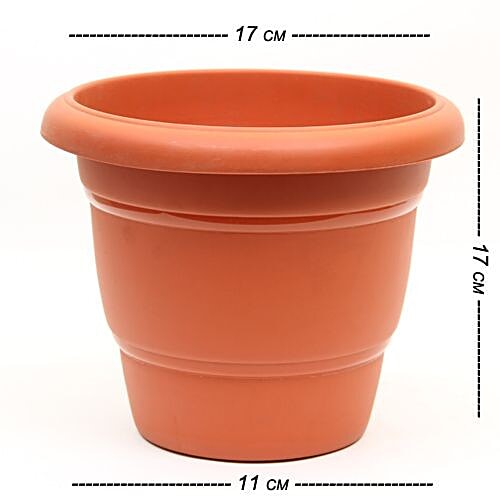 Natures Plus Green Planter - No. 3, 3 pcs  