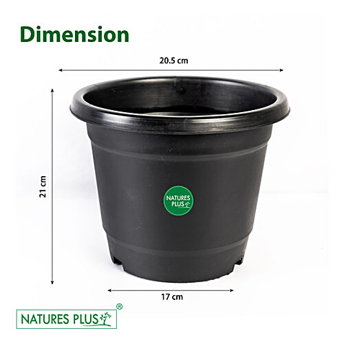 Natures Plus Nursery Pot - Black, 1 pc Strength & Durability