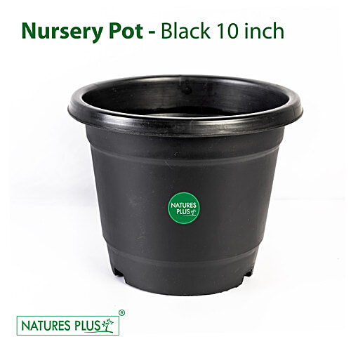 Buy Kr Nursery Pot Black Open Dia 235 Cm Bottom Dia 165 Cm Online At