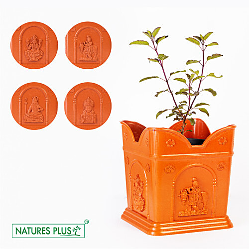 Natures Plus Tulasi Pot - Medium, 1 pc  Strength & Durability