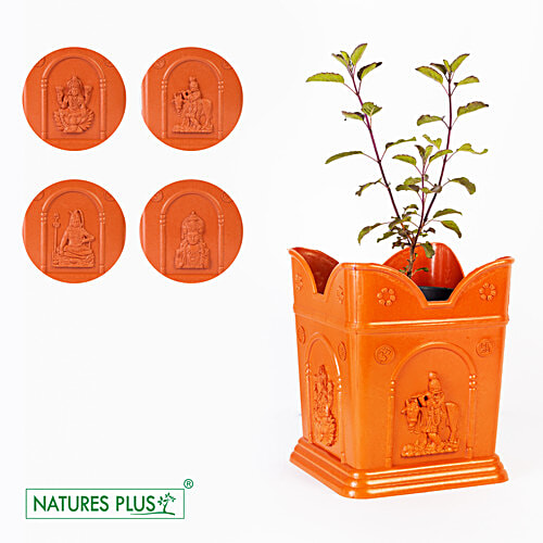 Natures Plus Tulasi Pot - Big, 1 pc  Durability