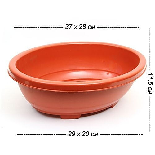 Buy Kr Bonsai Oval Tray Upper 37 X 28 Cm Bottom 29 X 20 Cm Online At