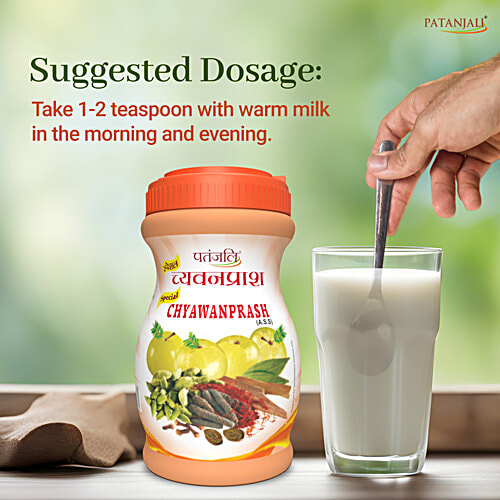Patanjali Special Chyawanprash, 500 g Bottle 