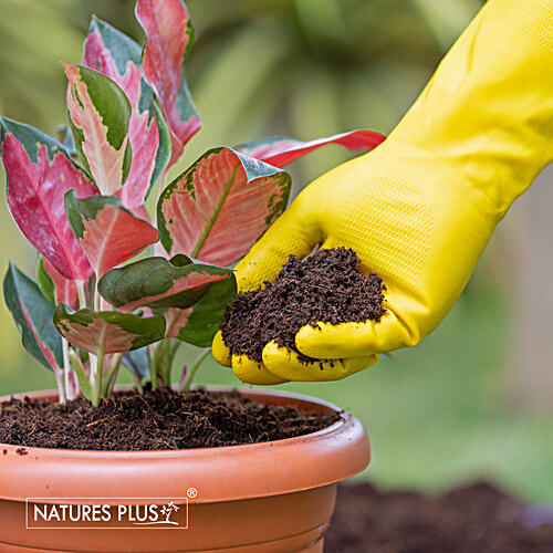 Natures Plus Rubber Gloves - Garden, Yellow, 1 pair