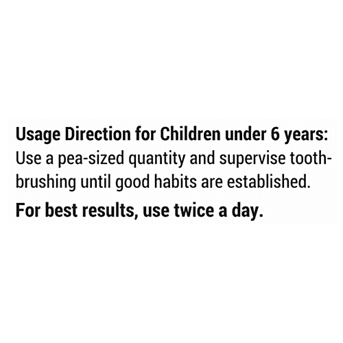 Sri Sri Tattva Sudanta Gel Toothpaste, 100 g  Fluoride-Free Toothpaste with Cloves Charcoal Bakul & More