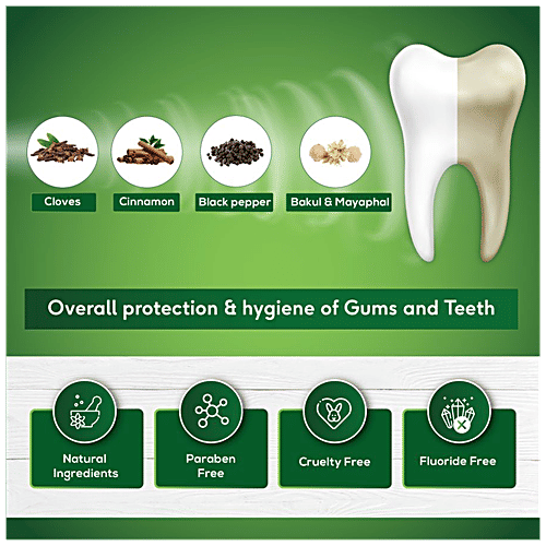 Sri Sri Tattva Sudanta Gel Toothpaste, 100 g  Fluoride-Free Toothpaste with Cloves Charcoal Bakul & More