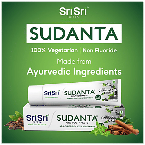 Sri Sri Tattva Sudanta Gel Toothpaste, 100 g  Fluoride-Free Toothpaste with Cloves Charcoal Bakul & More