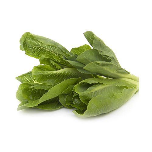 Fresho Lettuce - Romaine, 100 to 150 g  