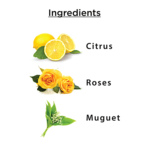 Enchanteur Charming Perfumed Body Lotion with Aloe Vera & Olive Butter, 250 ml  