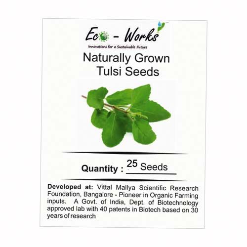 Eco Naturally Grown - Tulsi Seeds, 25 seeds Pouch Pesticide & Chemical Free