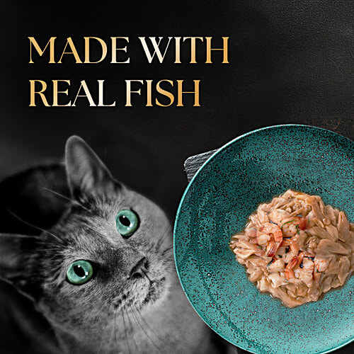 Sheba Deluxe Premium Adult 1+ Years Wet Cat Food - Tuna & Prawns In Gravy, 85 g Deluxe Taste, Real Meat Protein, High-Moisture Wet Cat Food