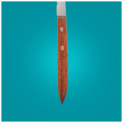 Fackelmann Nirosta Stainless Steel Country Knife with Saw Blade & Rosewood Handle, 21.5 Cm, 1 pc  Anti Rust, Dishwasher Safe