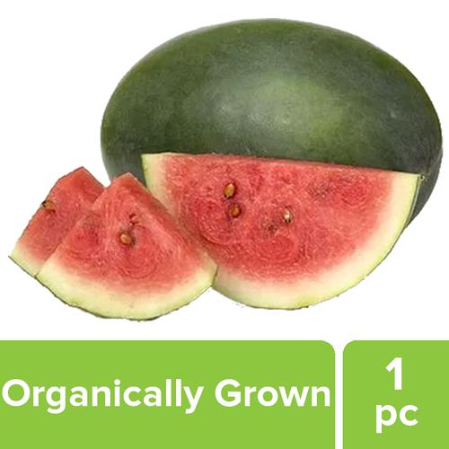 Fresho Watermelon - Organically Grown, 1 pc (approx. 1 -3 kg)  