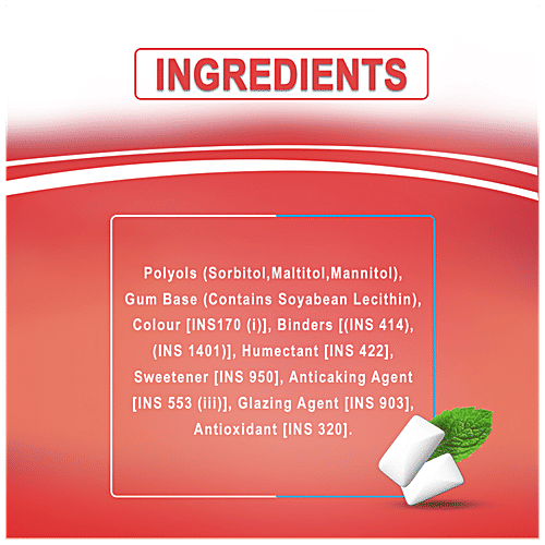 Wrigleys Orbit Sugar-Free Chewing Gum - Mixed Fruit, 8.8 g Pouch 