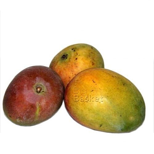 Channahalli Certified Organic Organic Mango - Sindura, 1 kg