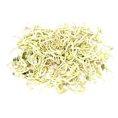 Buy Fresho Beans Sprouts Online at Best Price of Rs null bigbasket
