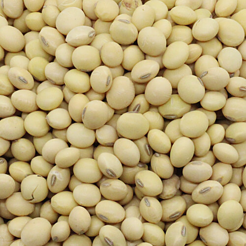 bb Royal Soya Bean, 1 kg Pouch 