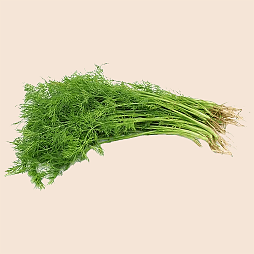 fresho! Dill Leaves - Organically Grown, 1 kg  