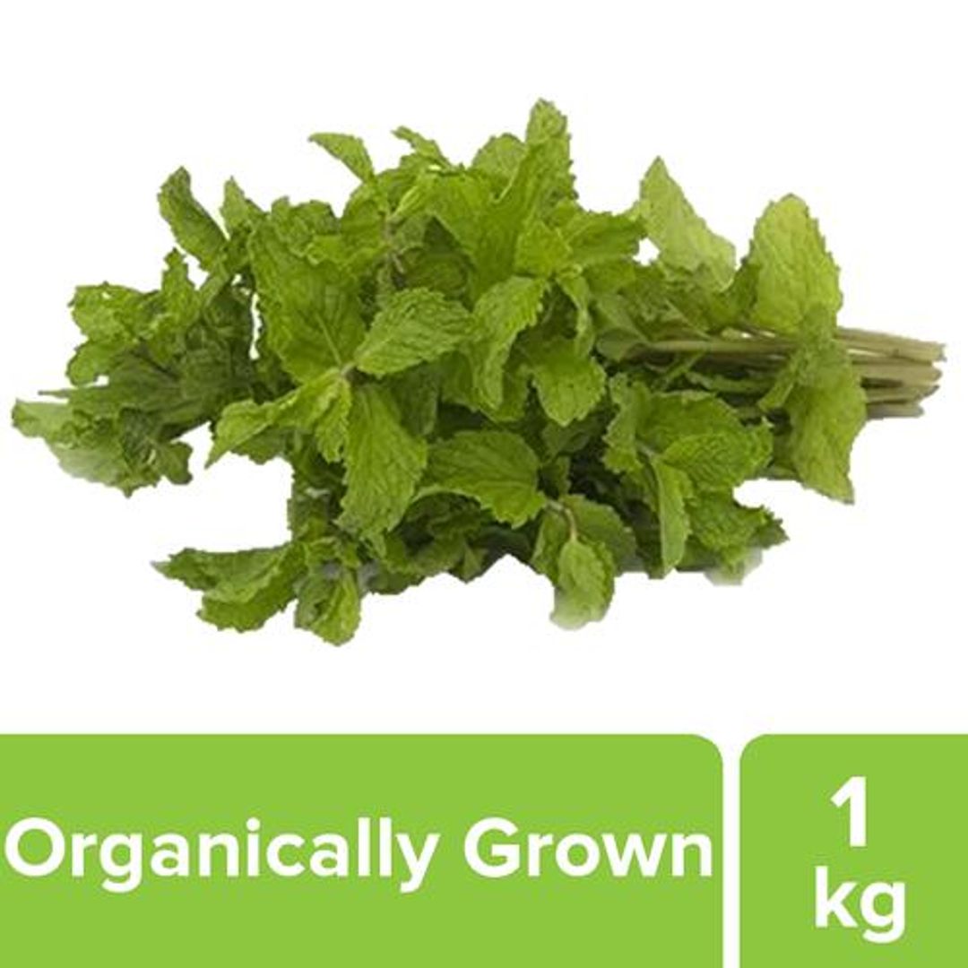 Fresho Mint - Organically Grown, 1 kg 