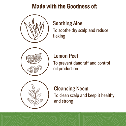 Soultree Ayurvedic Anti-Dandruff Shampoo - with Aloe & Cleansing Lemon Peel, 250 ml  