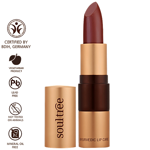 Soultree Ayurvedic Lipstick - Java Brown 810, 4.5 g Lead Free, Mineral Oil Free