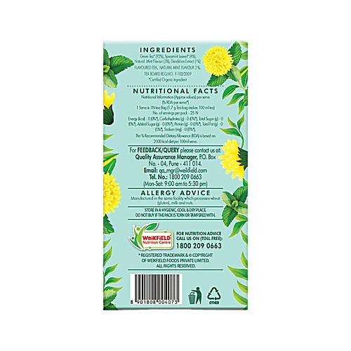 Eco Valley Dandelion Mint Organic Green Tea, 42.5 g (25 Bags x 1.7 g)