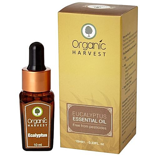 Organic Harvest Eucalyptus Oil, 10 ml  