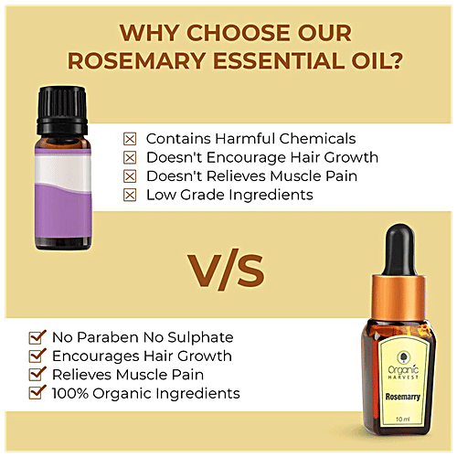 Buy Organic Harvest Essential Oil Rosemary 10 Ml Online At Best Price