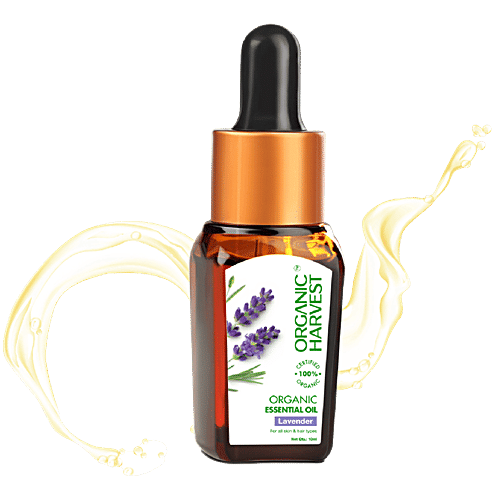 Buy Organic Harvest Essential Oil Lavender 10 Ml Online At Best Price
