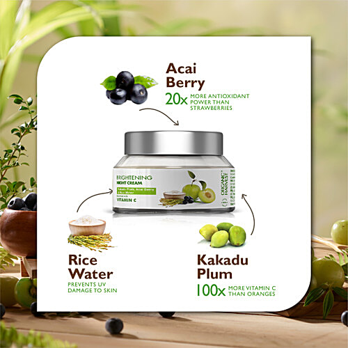 Organic Harvest Daily Nourishing Night Cream, 50 g