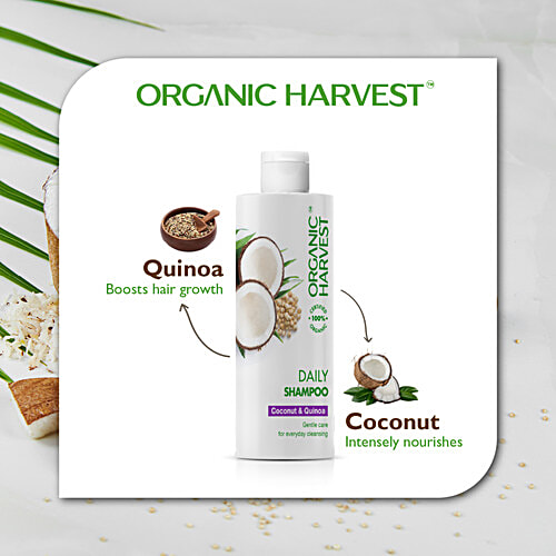 Buy Organic Harvest Shampoo Daily 500 Ml Online at the Best Price of Rs
