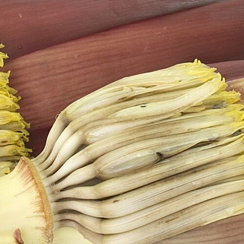 Fresho Banana Flower - Organically Grown, 1 pc  