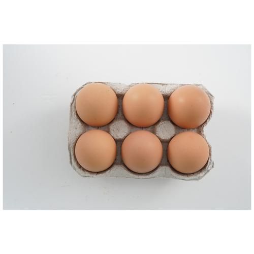 Fresho Farm Eggs - Brown, Medium, Antibiotic Residue-Free, 6 pcs  