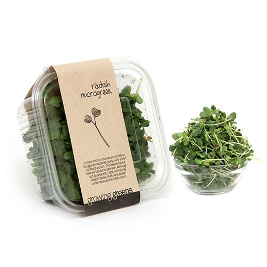 Growing Greens Microgreen - Radish, 50 g 