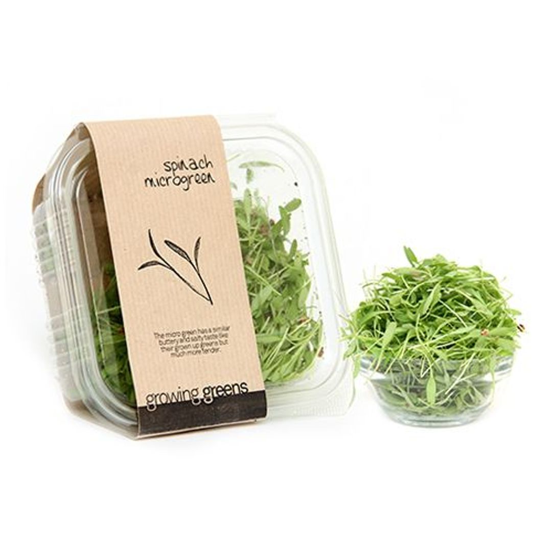 Growing Greens Microgreen - Spinach, 50 g 