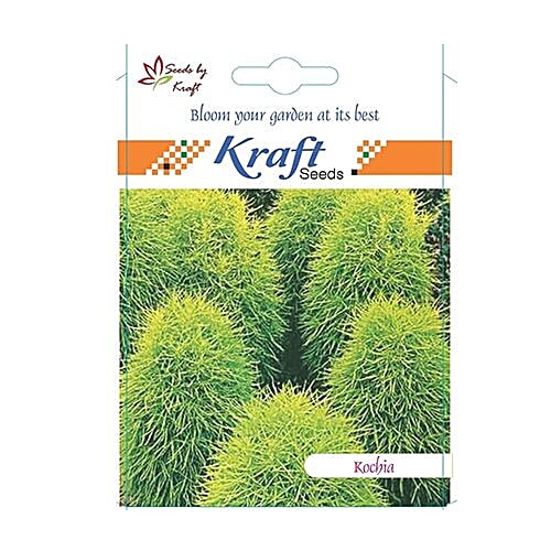 Buy Kraft Seeds Kochia Flower Seeds Online at Best Price of Rs null