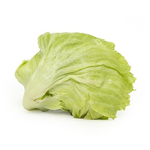 Fresho Lettuce Iceberg - Organically Grown, 1 kg  