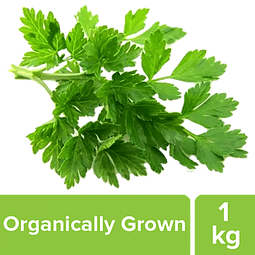 Buy Fresho Parsley Flat Leaf Organically Grown Online at Best Price of Rs 9.6 bigbasket