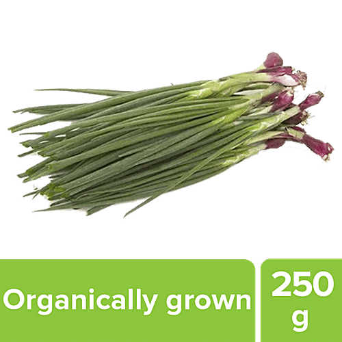Buy fresho! Spring Onion Organically Grown Online at Best Price of Rs