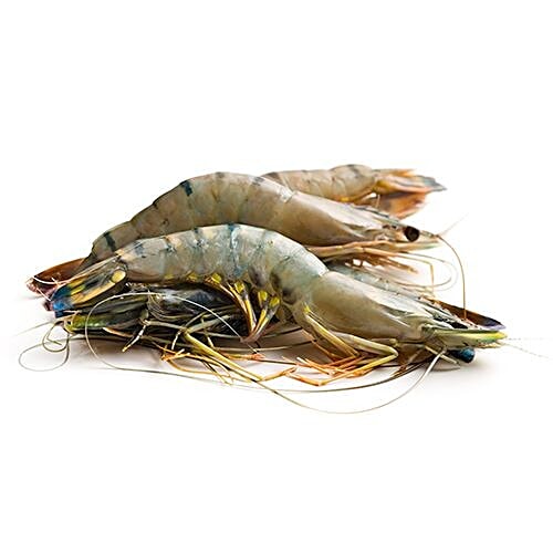 fresho! Bagda Fish-Small, Processed, 900 g (60-70 pcs) 