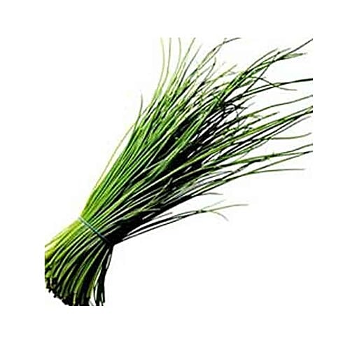 Buy fresho! Onion Chives Organically Grown Online at Best Price of Rs
