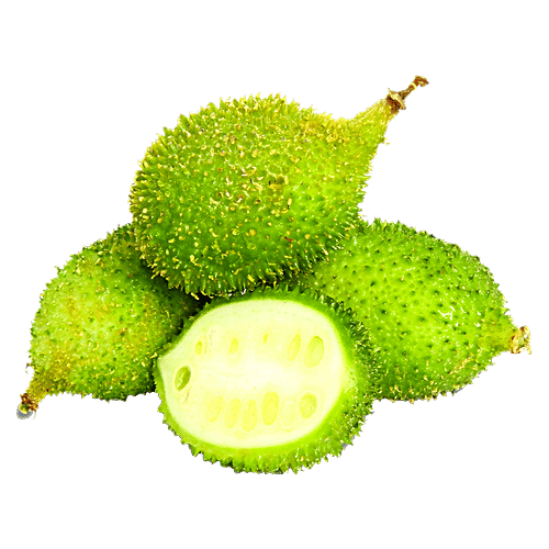 fresho! Spine Gourd (Kakrol) - Organically Grown, 1 kg  