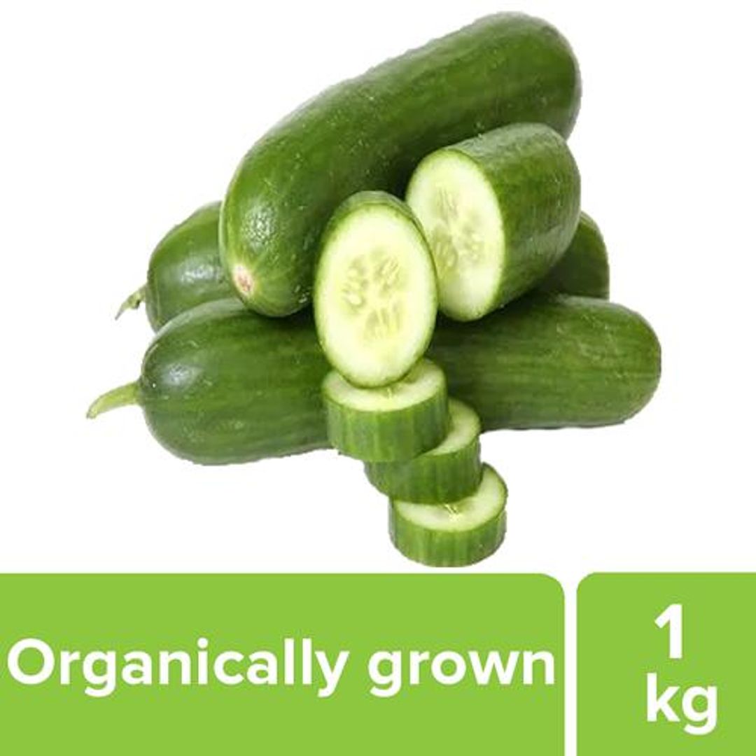 Fresho English Cucumber - Organically grown (Loose), 1 kg 